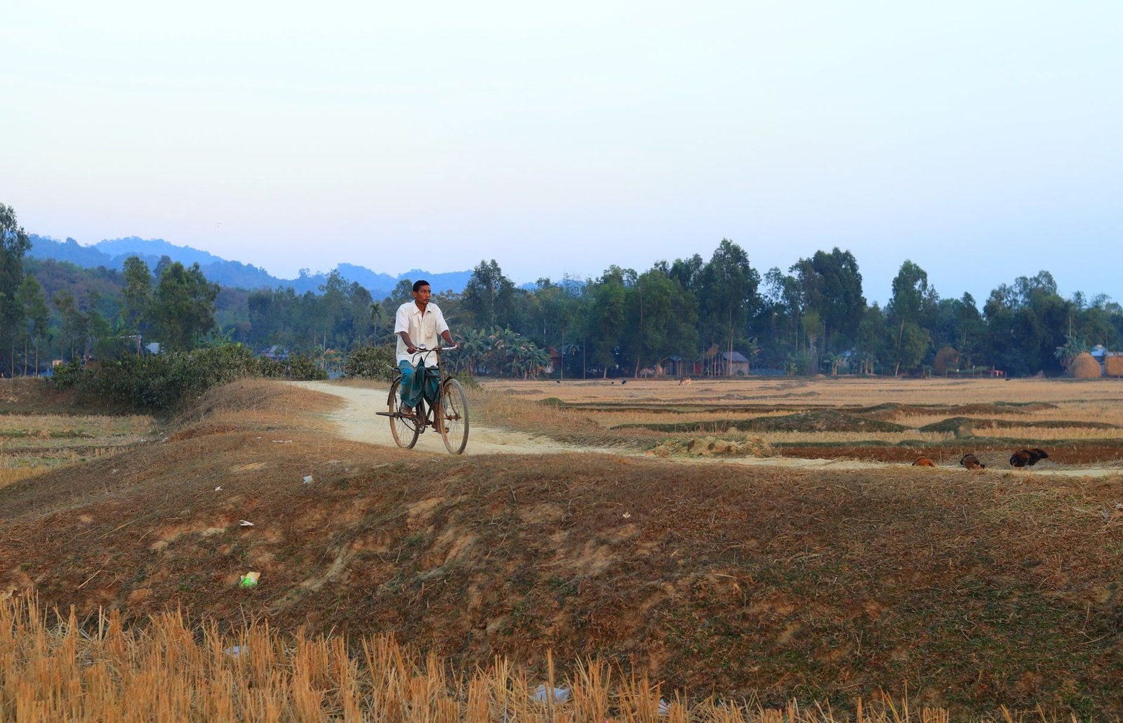 Is Bangladesh’s Cycle Track the Best New Infrastructure?