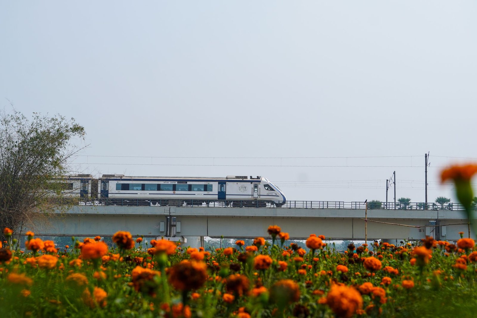 Bengaluru-Mumbai Vande Bharat: Is It the Best Train Option?